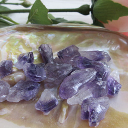 No.CR-238 化石 ミニアンモナイト 5コセット 17.5g 天然石 Rose