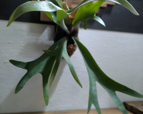 6a4bc77d9768854bd2bb374ba1c8bf