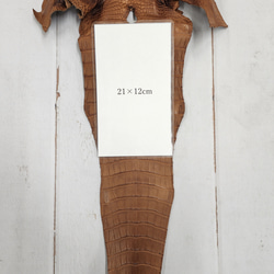 ワニ革 クレイフィニッシュ ウォルナット No.C008410 9枚目の画像