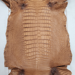 ワニ革 クレイフィニッシュ ウォルナット No.C008410 4枚目の画像