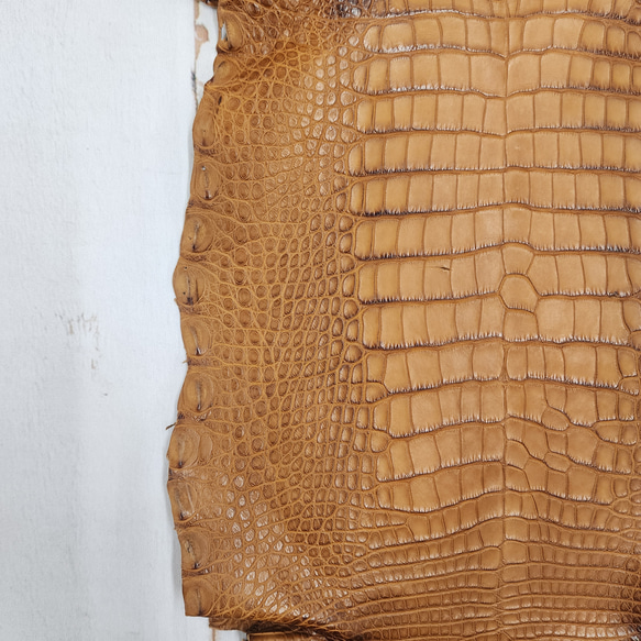 ワニ革 クレイフィニッシュ ウォルナット No.C008410 13枚目の画像