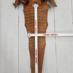 ワニ革 クレイフィニッシュ ウォルナット No.C008410 7枚目の画像