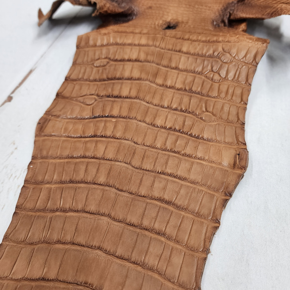 ワニ革 クレイフィニッシュ ウォルナット No.C008410 15枚目の画像