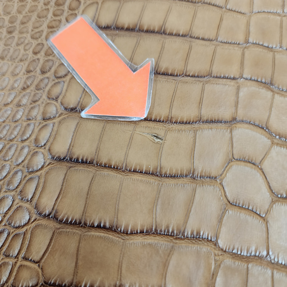 ワニ革 クレイフィニッシュ ウォルナット No.C008410 11枚目の画像