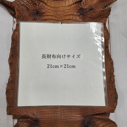 ワニ革 クレイフィニッシュ ウォルナット No.C008410 8枚目の画像