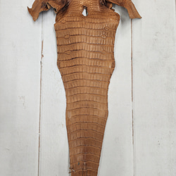 ワニ革 クレイフィニッシュ ウォルナット No.C008410 5枚目の画像