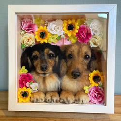 箱入り娘✳︎息子 わんちゃん オーダーメイド♪ 羊毛フェルト