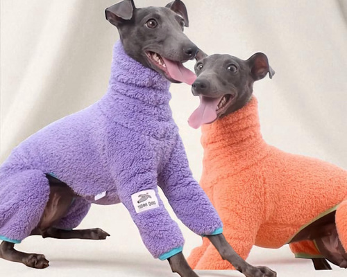 イタグレ ウィペット ドッグ ドッグウェア イタリアン・グレーハウンド