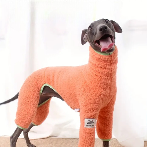 イタグレ ウィペット ドッグ ドッグウェア イタリアン・グレーハウンド