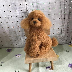ミニチュアダックス（ピュアクリーム）お座りポーズ 羊毛
