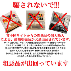  第3張的照片