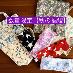 ニュアンスカラー/チュールレース・インド刺繍×帆布