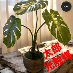 光触媒　人工観葉植物　ウォールグリーン　フェイクグリーン　ガジュマル120FST 光触媒 人工観葉植物 ウォールグリーン フェイクグリーン