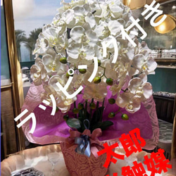 光触媒 人工観葉植物 ウォールグリーン フェイクグリーン