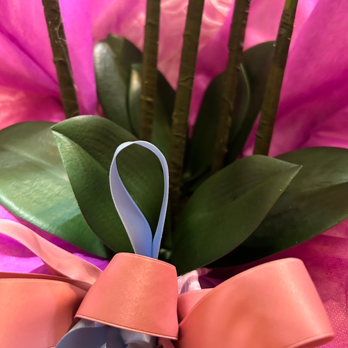 光触媒 人工観葉植物 ウォールグリーン フェイクグリーン 胡蝶蘭8047