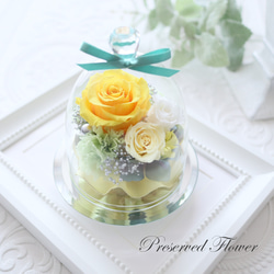 イエローローズのエレガントなガラスドーム｜誕生日・仏花・お見舞い・退職祝い・引越し祝い等　pre.131 1枚目の画像