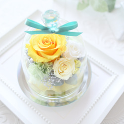 イエローローズのエレガントなガラスドーム｜誕生日・仏花・お見舞い・退職祝い・引越し祝い等　pre.131 13枚目の画像