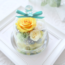イエローローズのエレガントなガラスドーム｜誕生日・仏花・お見舞い・退職祝い・引越し祝い等　pre.131 9枚目の画像