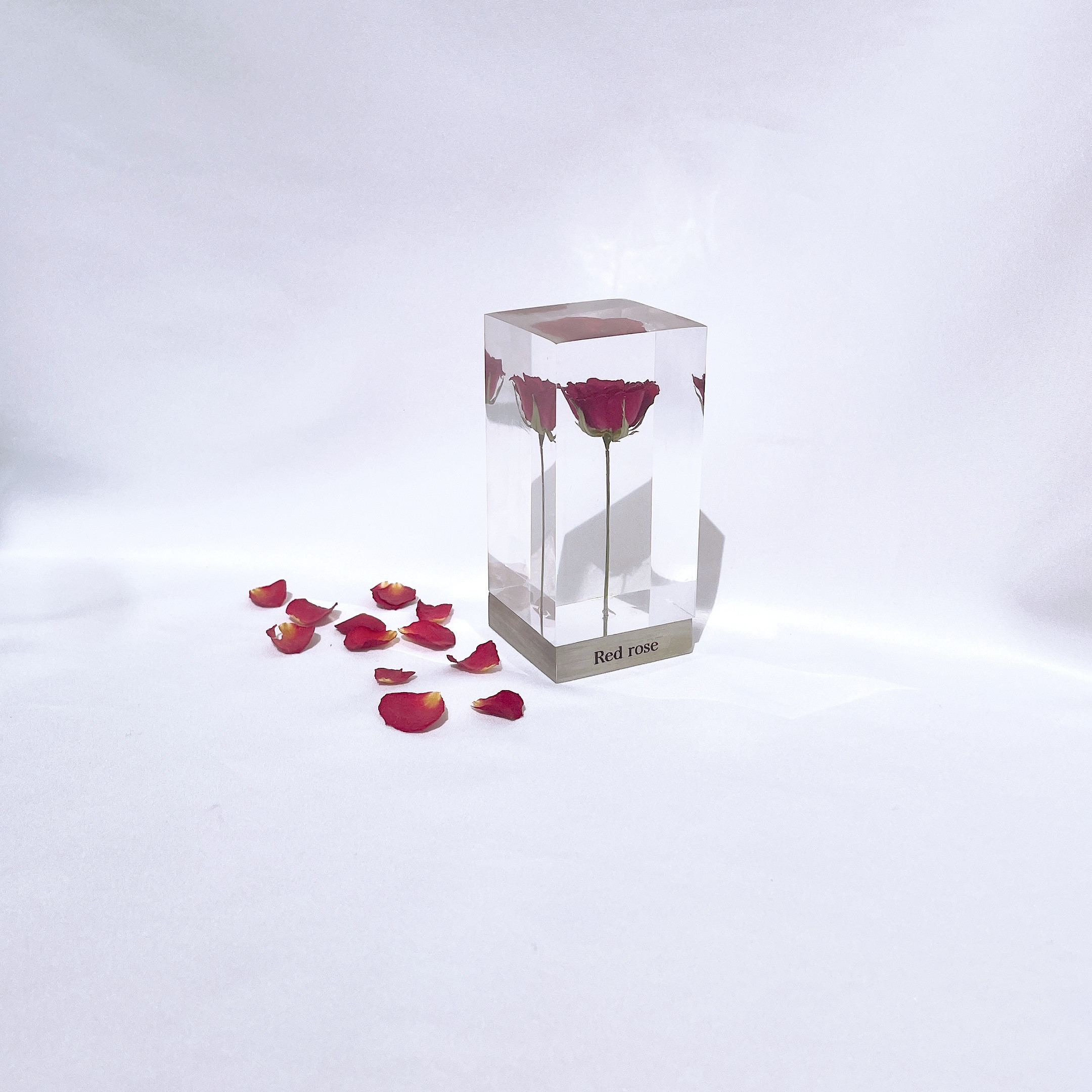 Crystal Redrose 【薔薇】