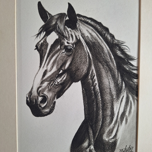 リアルな馬の鉛筆画 馬の頭の鉛筆デッサンの写真素材・画像素材 Image 32343956