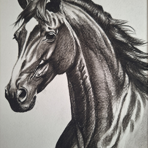 鉛筆画 名馬 絵画 makochin 通販 19817286｜Creema(クリーマ)