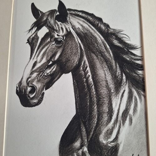 鉛筆画 名馬 絵画 makochin 通販 19817286｜Creema(クリーマ)