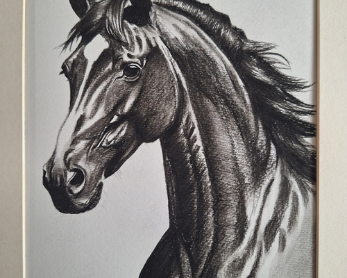 鉛筆画 名馬 絵画 makochin 通販 19817286｜Creema(クリーマ)