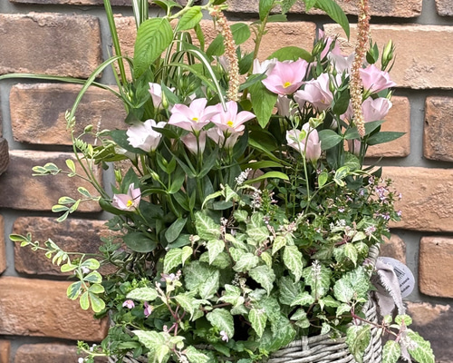 de494f4aec4706848c0d3f2ea2c873