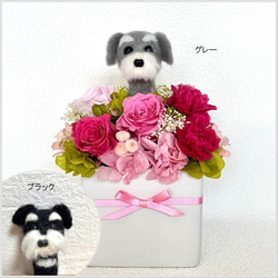 ちょこんと顔出す チワワ（右側）＆ プリザーブドフラワー（くすみ