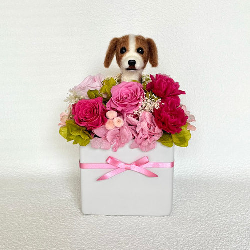 ビーグル犬】お花畑の中からちょこんと顔だす犬＆ プリザーブド