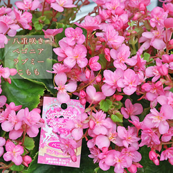 6e1d0ffd8cd9bdd48b53037b1ffcef