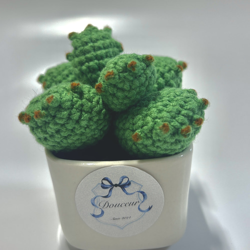 編みぐるみ鉢植え あみぐるみ Douceur_handmade 通販 19818779｜Creema