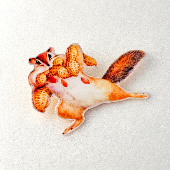 ピーナッツ泥棒のブローチ 9枚目の画像