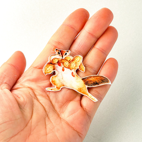 ピーナッツ泥棒のブローチ 3枚目の画像