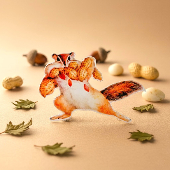 ピーナッツ泥棒のブローチ 1枚目の画像