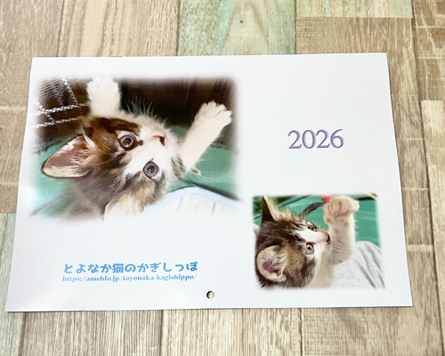 04cad3938f03d5272c157f794fd599