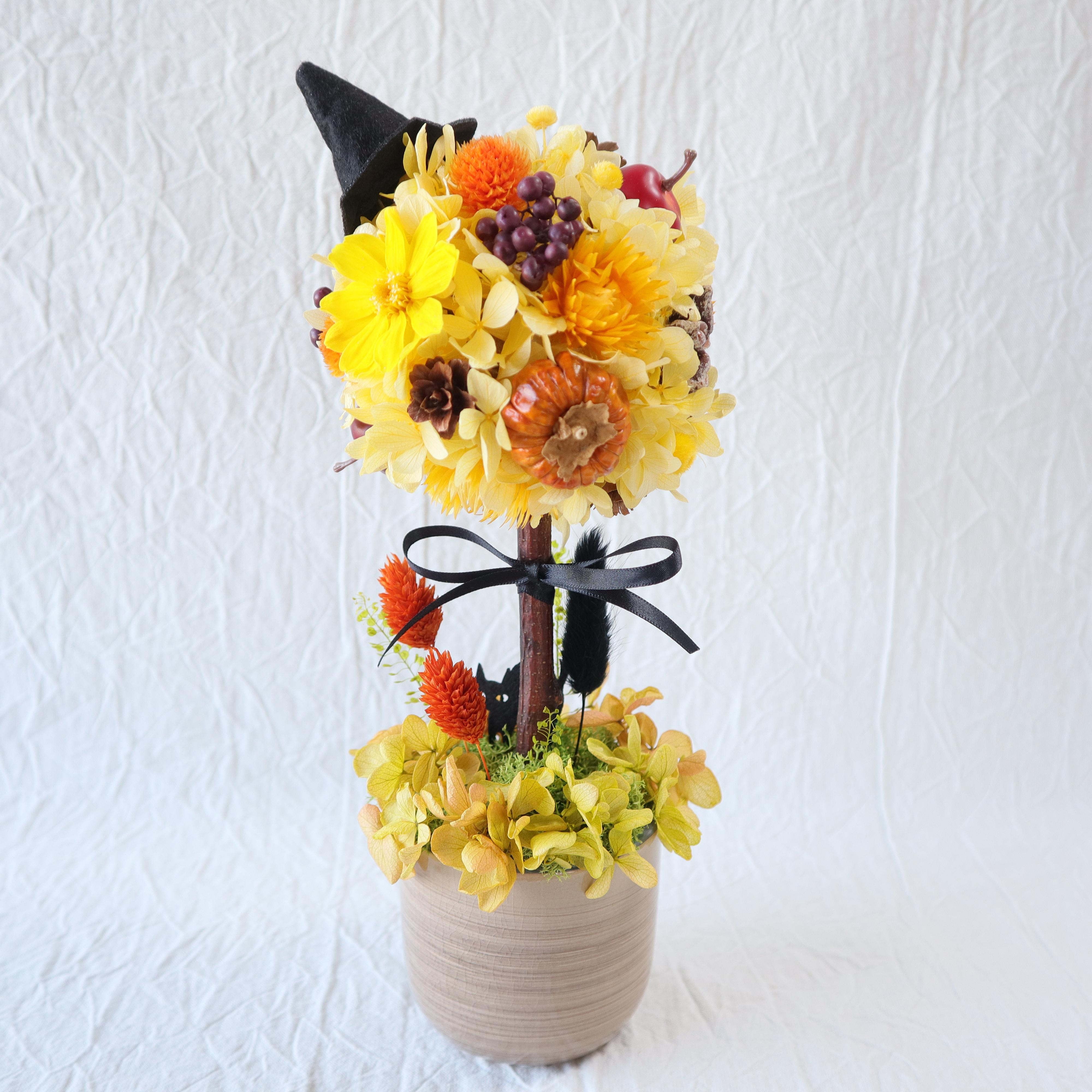 ハロウィンのトピアリー　黒猫ちゃんのかくれんぼ