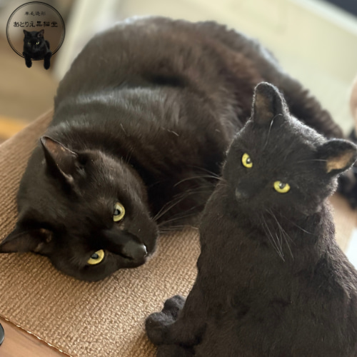 羊毛フェルト【受注制作】猫 羊毛フェルト あとりえ黒猫堂 通販