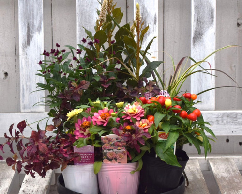 588b4314a38282677bd3780db1f816