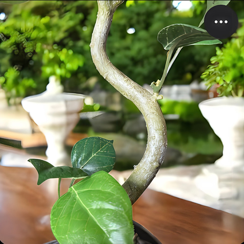 光触媒　人工観葉植物　ウォールグリーン　フェイクグリーン　ガジュマル230 光触媒 人工観葉植物 ウォールグリーン フェイクグリーン ガジュマル230