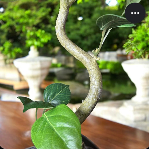 光触媒 人工観葉植物 ウォールグリーン フェイクグリーン ガジュマル42