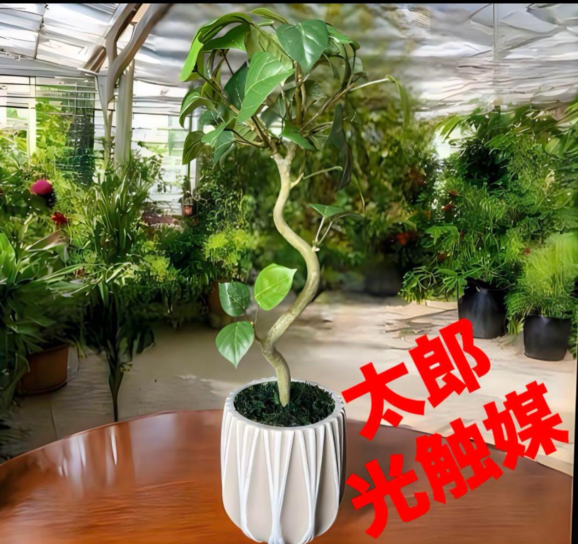 光触媒　人工観葉植物　ウォールグリーン　フェイクグリーン　ガジュマル180FST 光触媒 人工観葉植物 ウォールグリーン フェイクグリーン ガジュマル