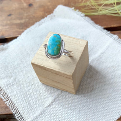 ブリゼ | クリップルクリークターコイズのシルバーリング | 11号 | Silver950 1枚目の画像