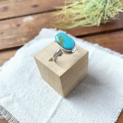 ブリゼ | クリップルクリークターコイズのシルバーリング | 15号 | Silver950 3枚目の画像