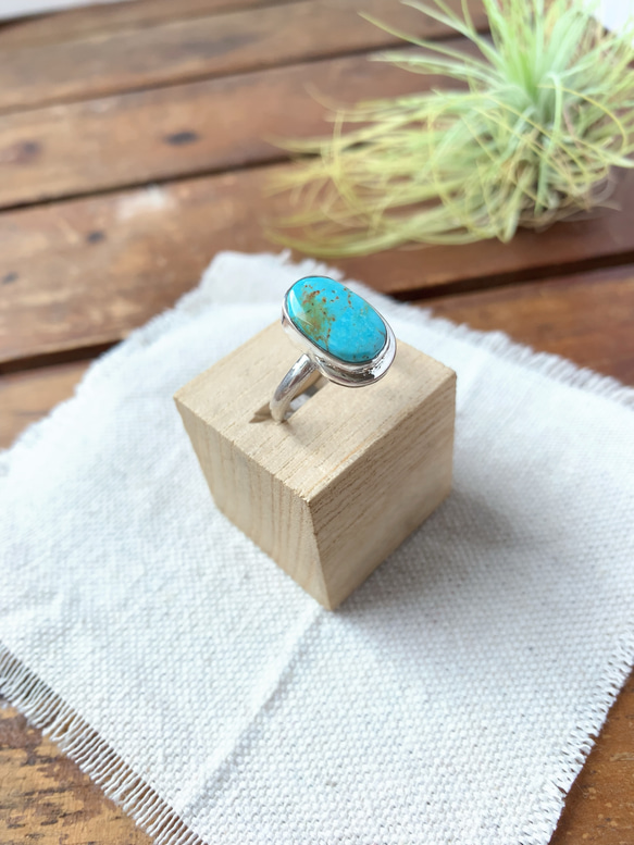 ブリゼ | クリップルクリークターコイズのシルバーリング | 15号 | Silver950 3枚目の画像