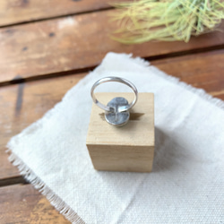 ブリゼ | クリップルクリークターコイズのシルバーリング | 15号 | Silver950 5枚目の画像