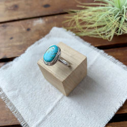 ブリゼ | クリップルクリークターコイズのシルバーリング | 15号 | Silver950 2枚目の画像
