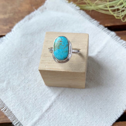 ブリゼ | クリップルクリークターコイズのシルバーリング | 15号 | Silver950 1枚目の画像