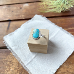 ブリゼ | クリップルクリークターコイズのシルバーリング | 15号 | Silver950 10枚目の画像