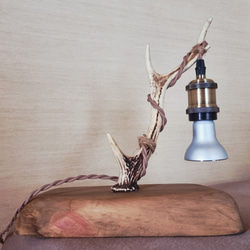 国産天然木 東濃ひのき根元末広がり 切株テーブル・丸太テーブル・無